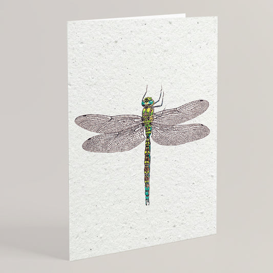 Carte double en papier ensemencé dragonfly S