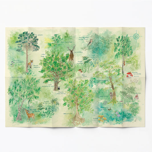 Remap La Forêt, Deep Green — carte illustrée 50 × 70 cm