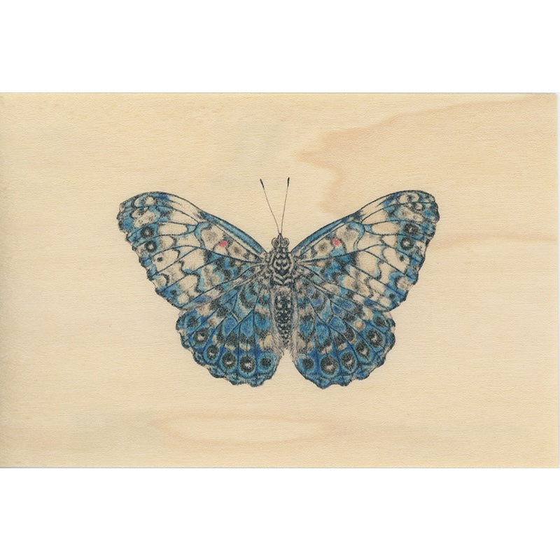 Wood postcard black and colors papillon W