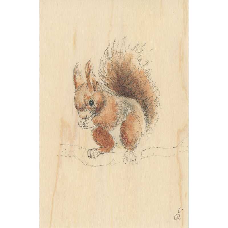 Wood postcard black and colors squirrel W