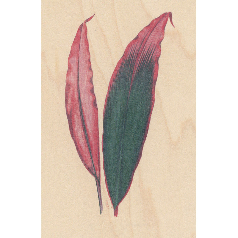 Carte en bois BNF botanique feuille 3 W