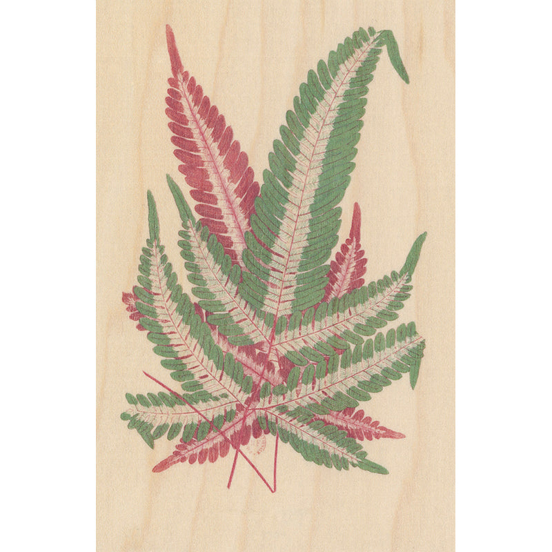 Carte en bois BNF botanique feuille 4 W