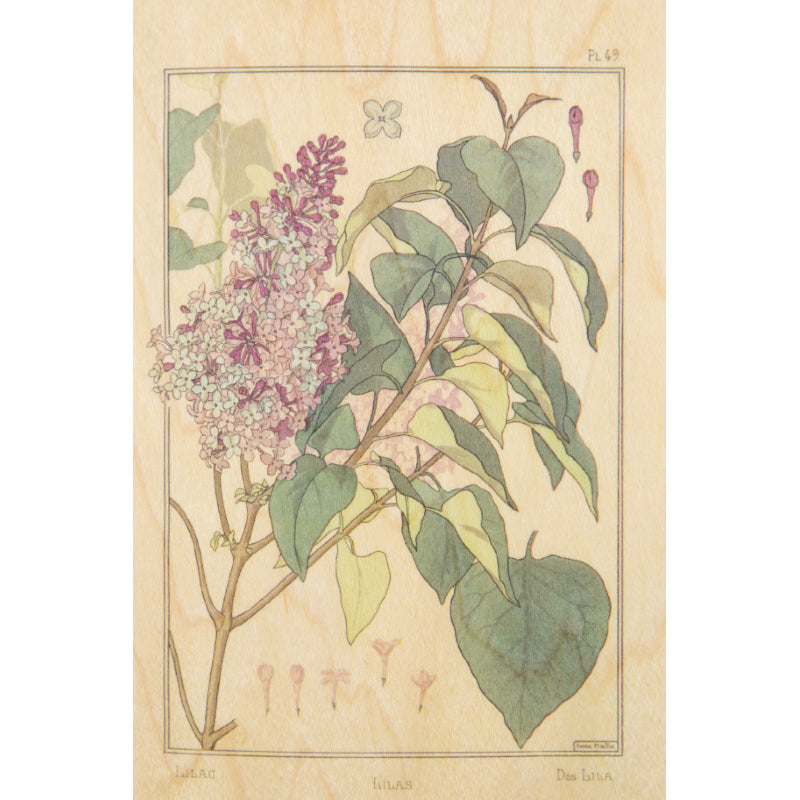 Carte en bois BNF fleurs lilas W