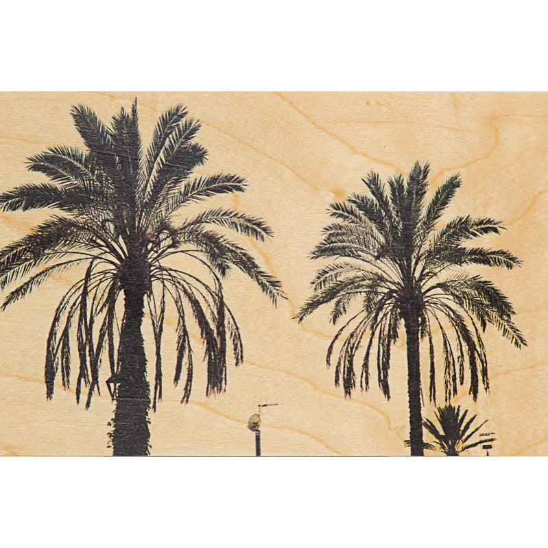 Wood postcard photos palm W