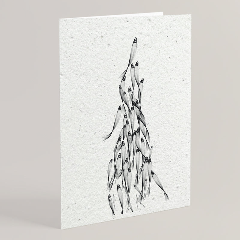 Carte double en papier ensemencé anchovies B