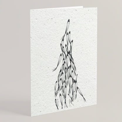 Folded seed paper greeting card anchovies S