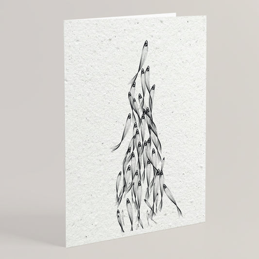 Carte double en papier ensemencé anchovies S