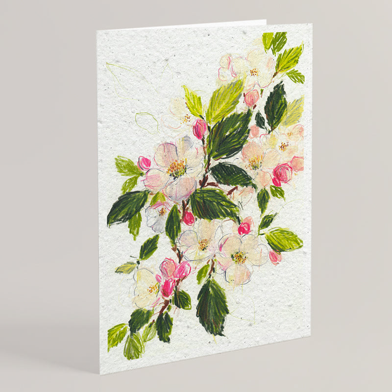 Carte double en papier ensemencé apple blossom B