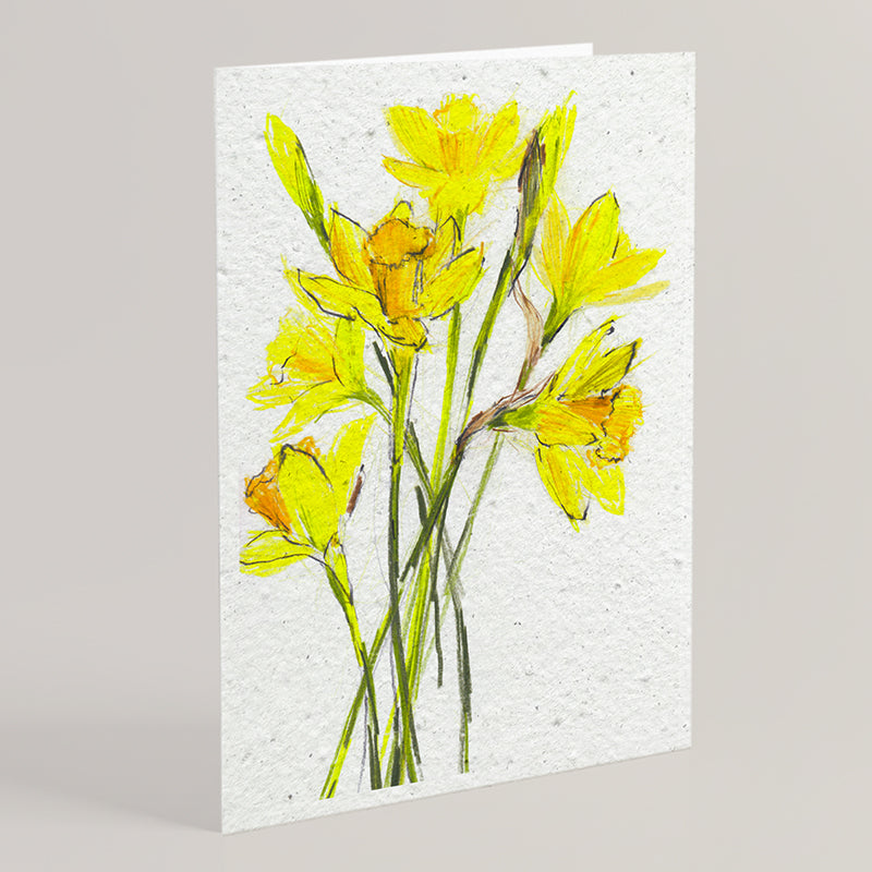 Carte double en papier ensemencé daffodils B