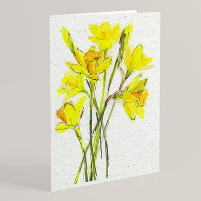 Carte double en papier ensemencé daffodils S