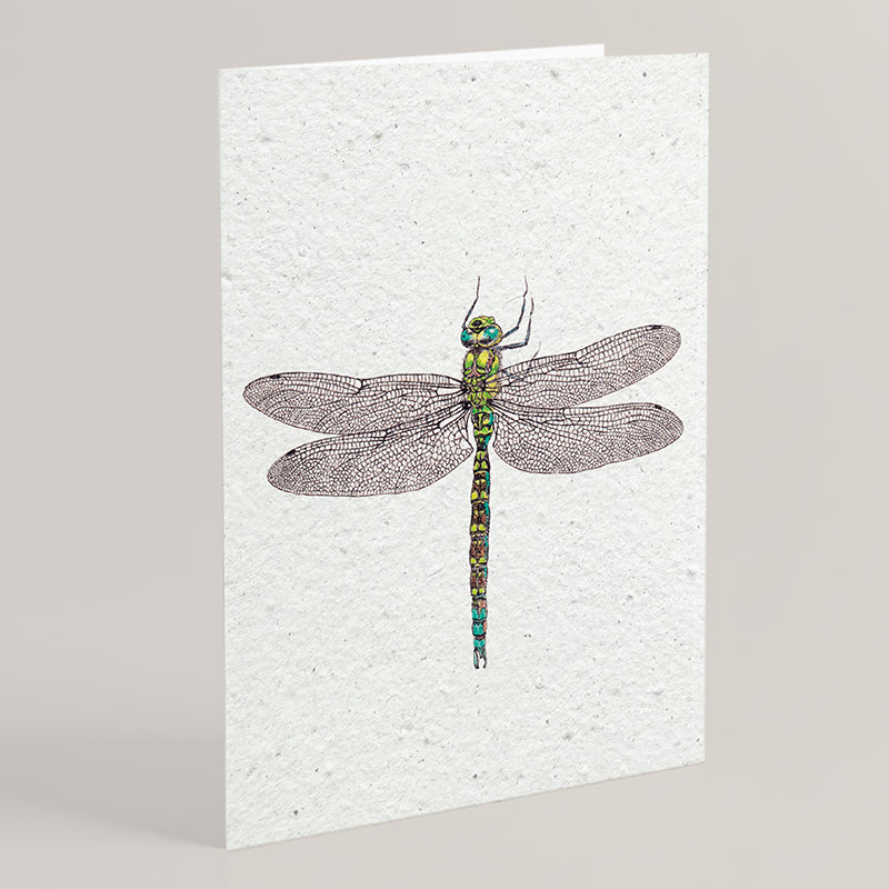 Carte double en papier ensemencé dragonfly B