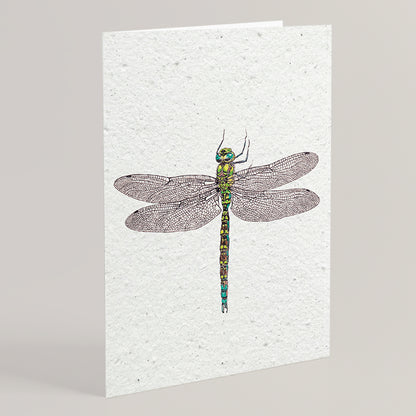 Carte double en papier ensemencé dragonfly S