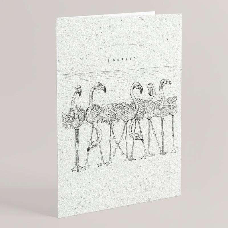 Carte double en papier ensemencé flamands B