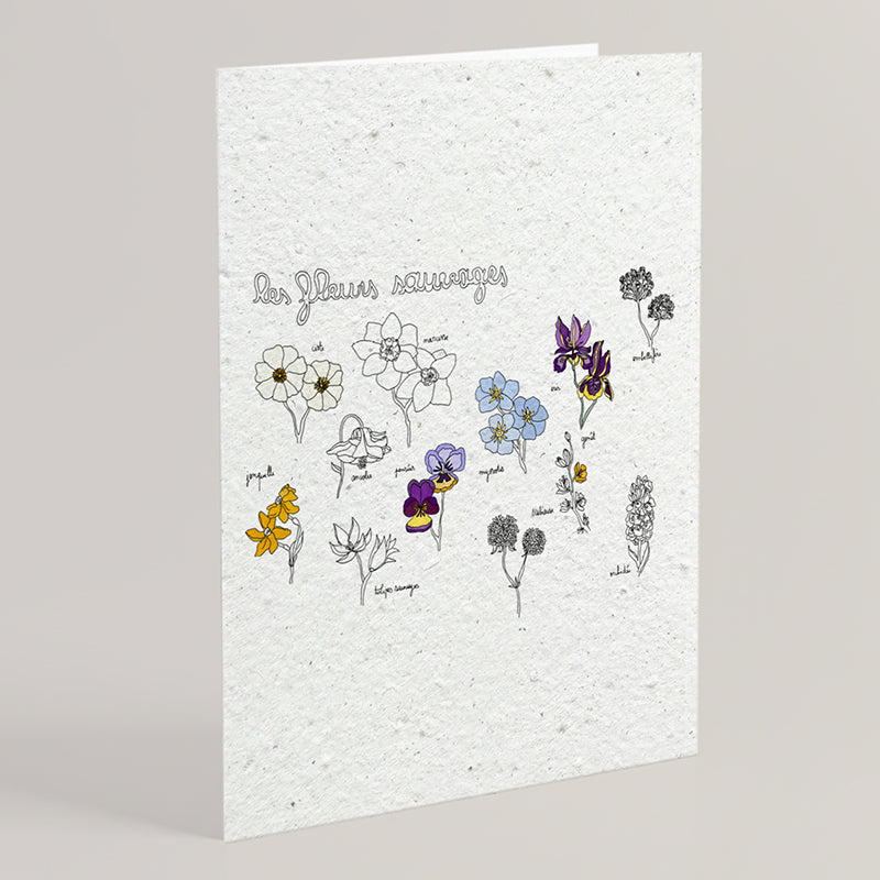Carte double en papier ensemencé fleurs sauvages B