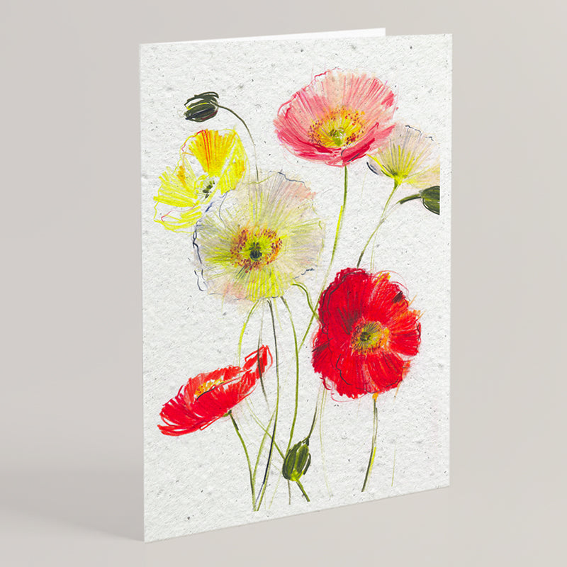 Carte double en papier ensemencé poppies B