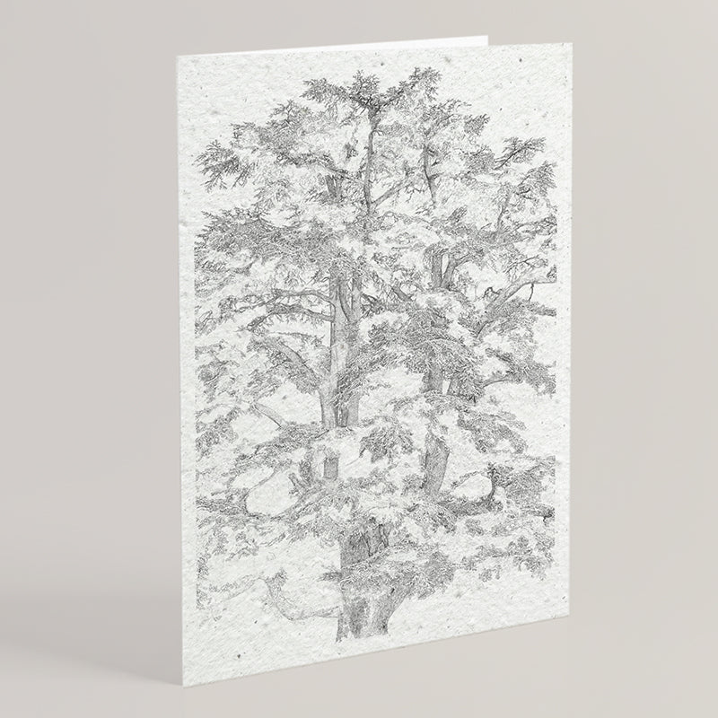 Carte double en papier ensemencé tree B
