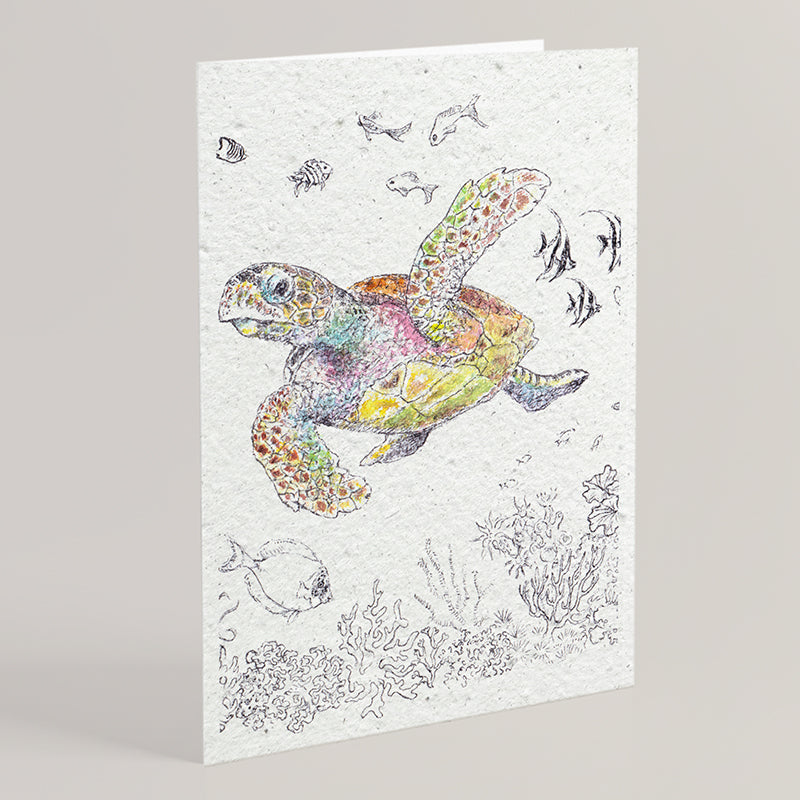 Carte double en papier ensemencé turtle B