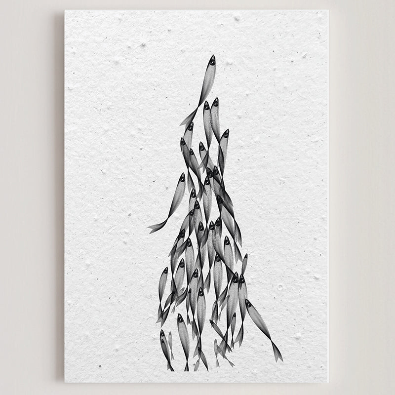 Carte double en papier ensemencé anchovies B