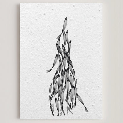 Folded seed paper greeting card anchovies S