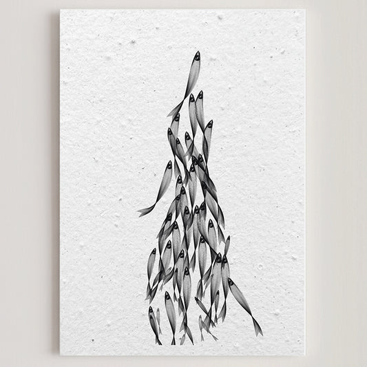 Carte double en papier ensemencé anchovies S