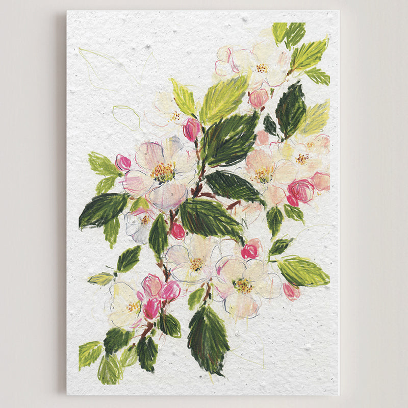 Carte double en papier ensemencé apple blossom B