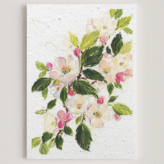 Carte double en papier ensemencé apple blossom S