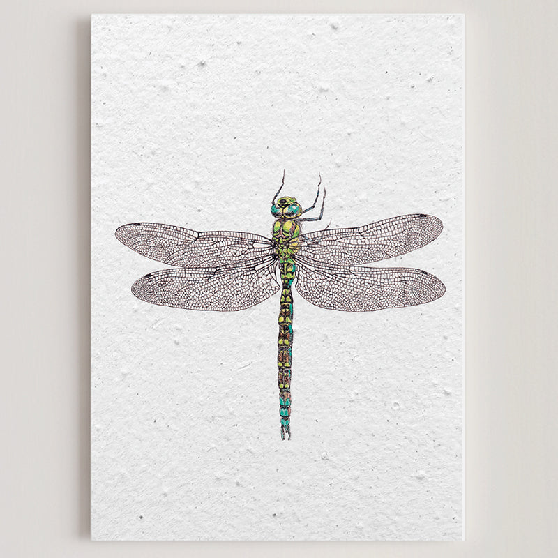 Carte double en papier ensemencé dragonfly B