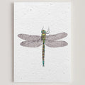 Carte double en papier ensemencé dragonfly B