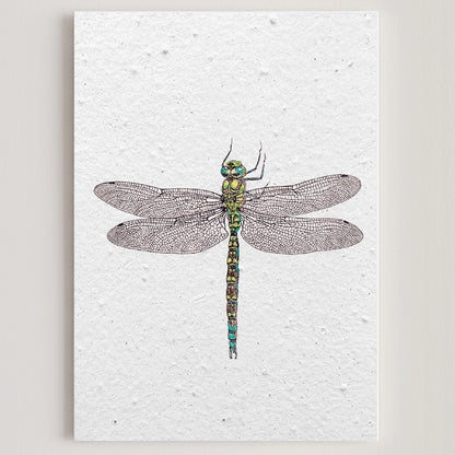 carte papier ensemencé fleurs sauvages écologique