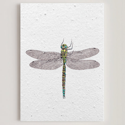 carte papier ensemencé fleurs sauvages écologique