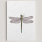carte papier ensemencé fleurs sauvages écologique
