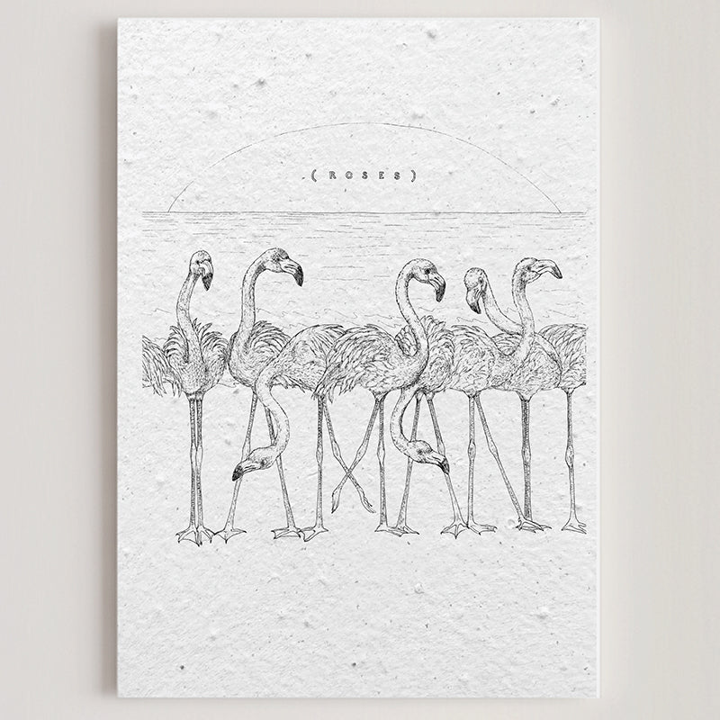 Carte double en papier ensemencé flamands B