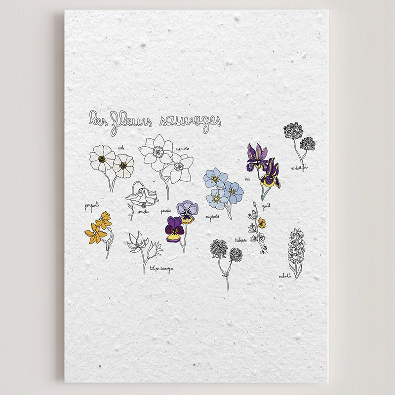 Carte double en papier ensemencé fleurs sauvages B