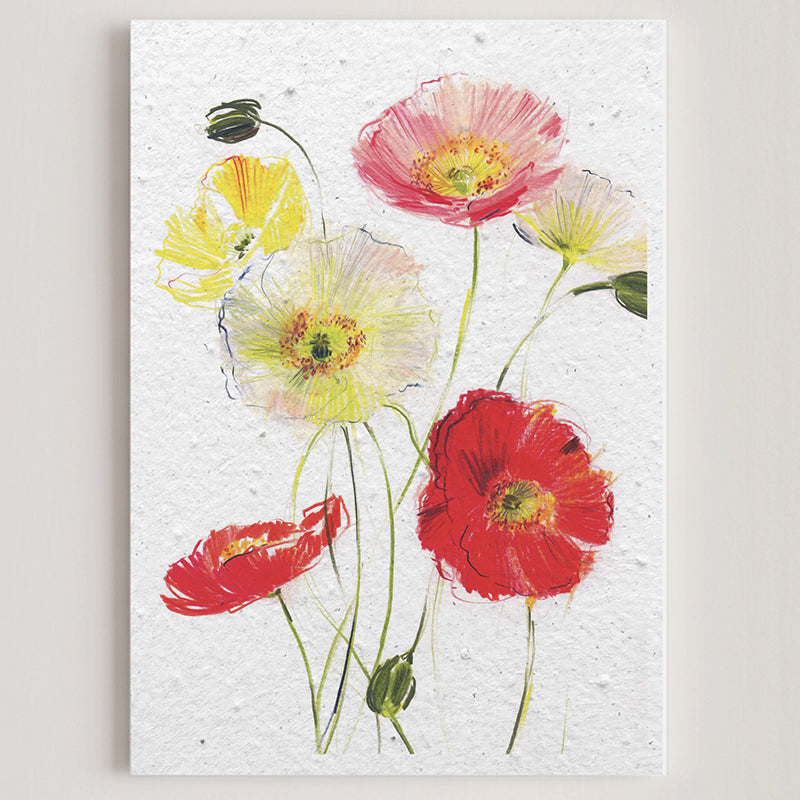Carte double en papier ensemencé poppies B