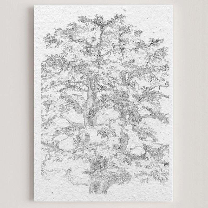 Carte double en papier ensemencé tree B