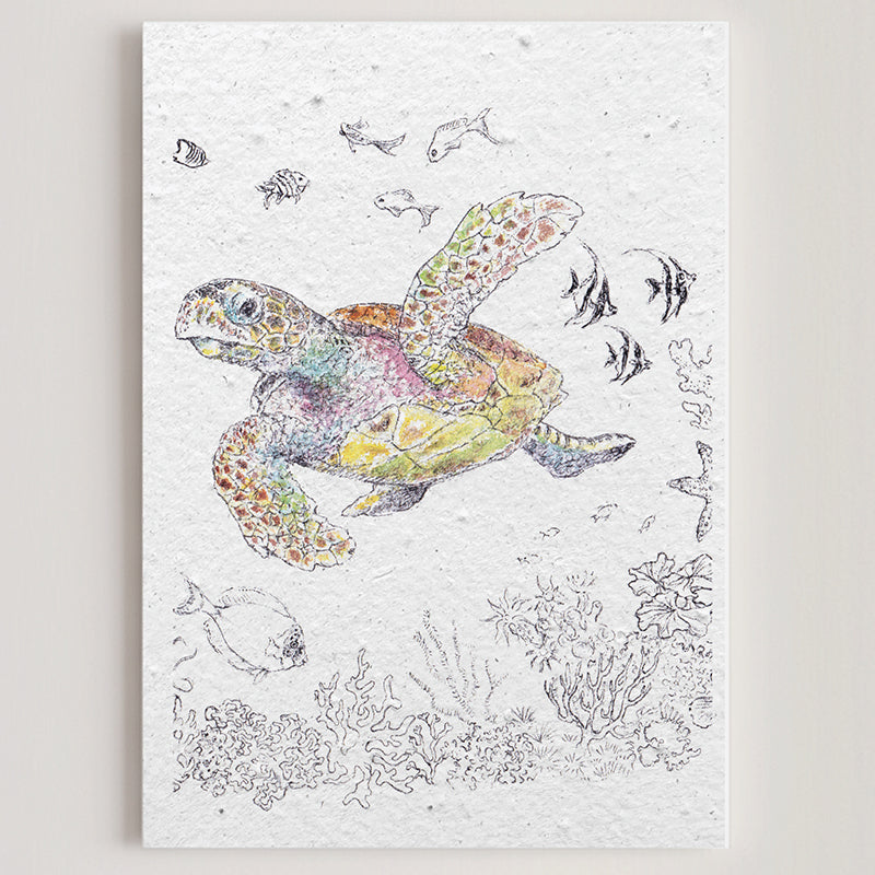 Carte double en papier ensemencé turtle B
