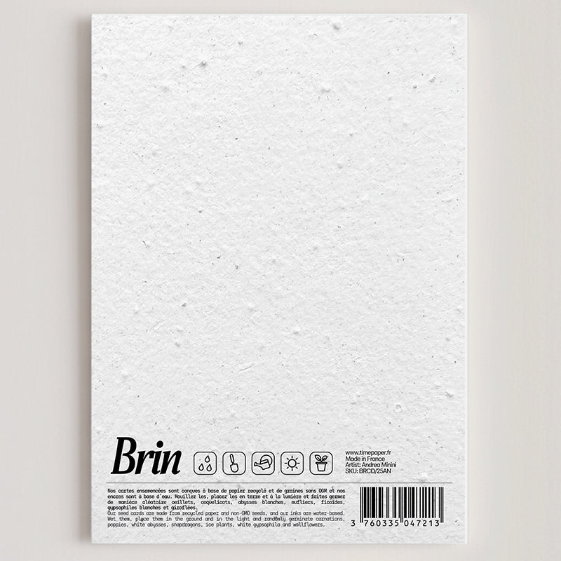 Carte double en papier ensemencé anchovies B