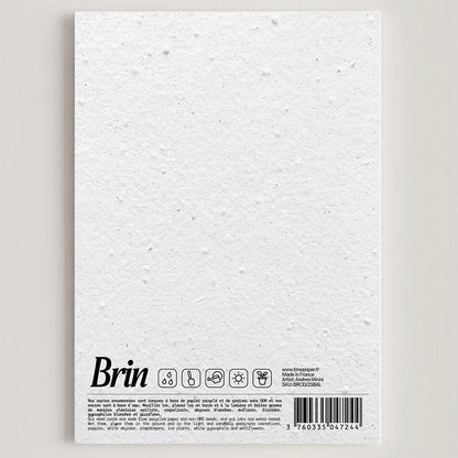 Folded seed paper greeting card baleine S