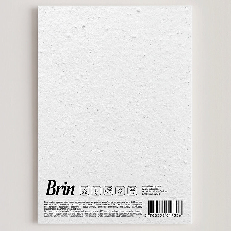 Carte double en papier ensemencé flamands B