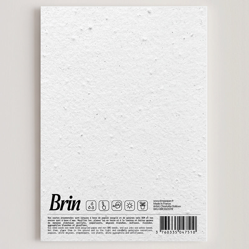 Carte double en papier ensemencé tree B