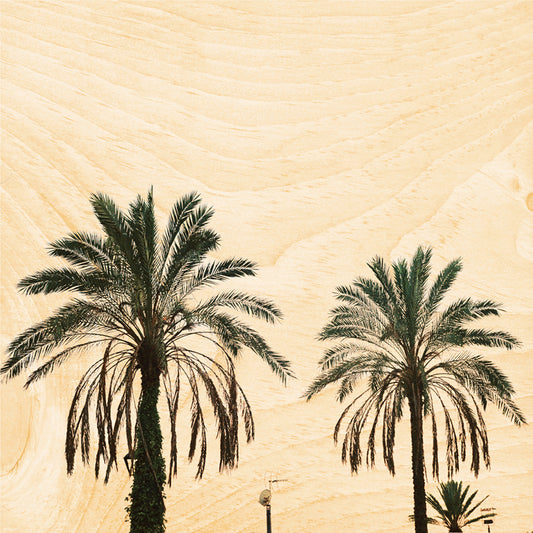 Poster 45T en bois photos palm W