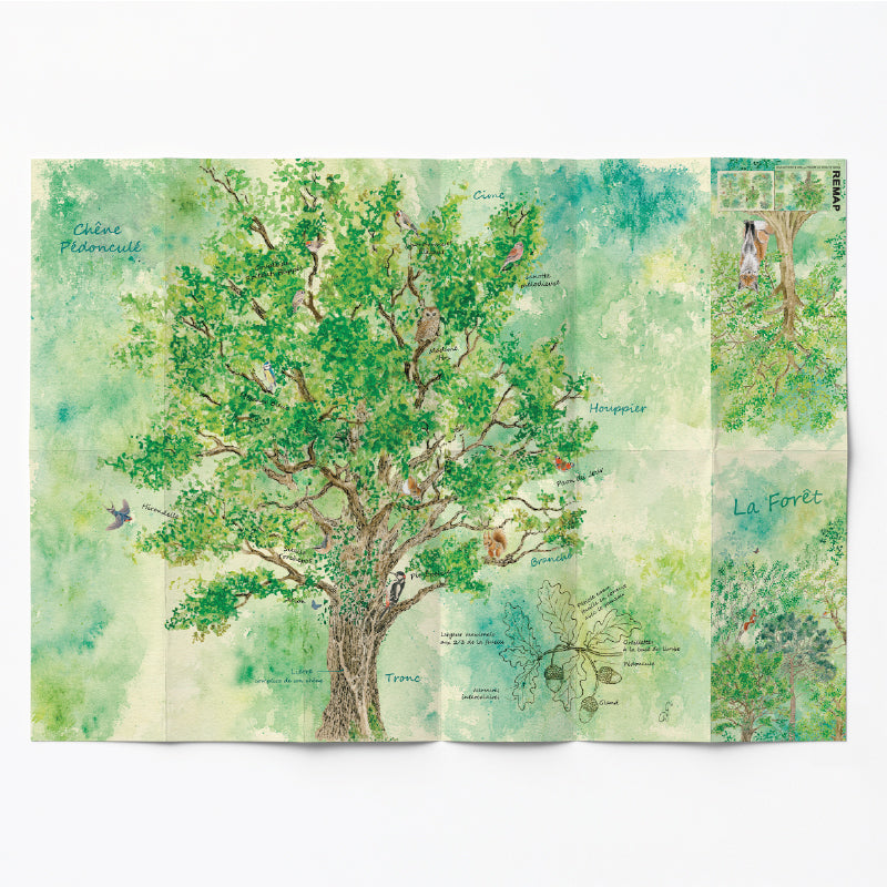 Remap La Forêt, Deep Green — carte illustrée 50 × 70 cm