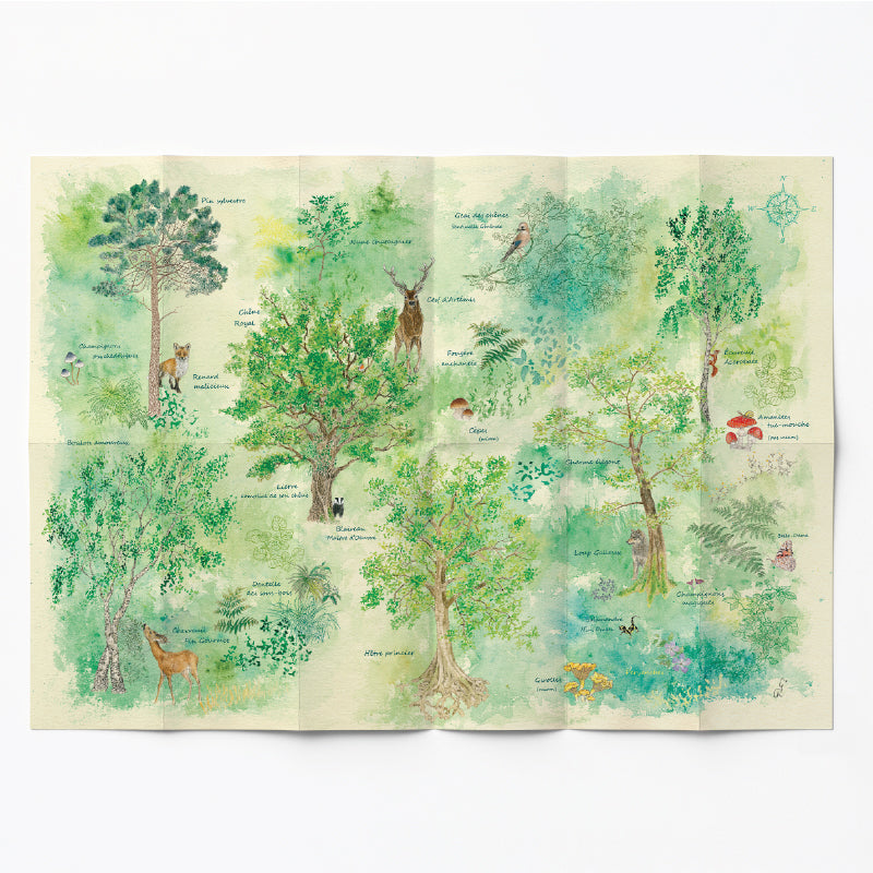 Remap La Forêt, Deep Green — carte illustrée 50 × 70 cm