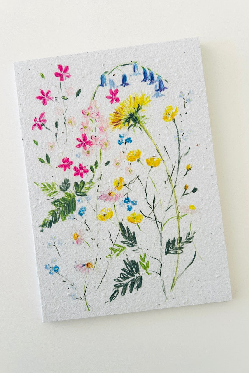 Cahier bloc-notes A5 en papier ensemencé dandelion B