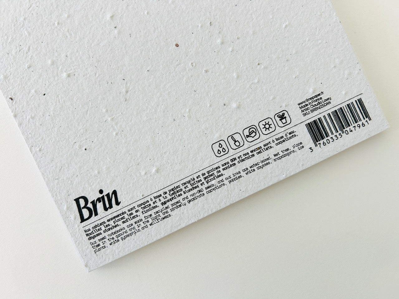 Cahier bloc-notes A5 en papier ensemencé dandelion B