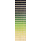 Marque-pages en bois BNF dégradé couleurs vert W