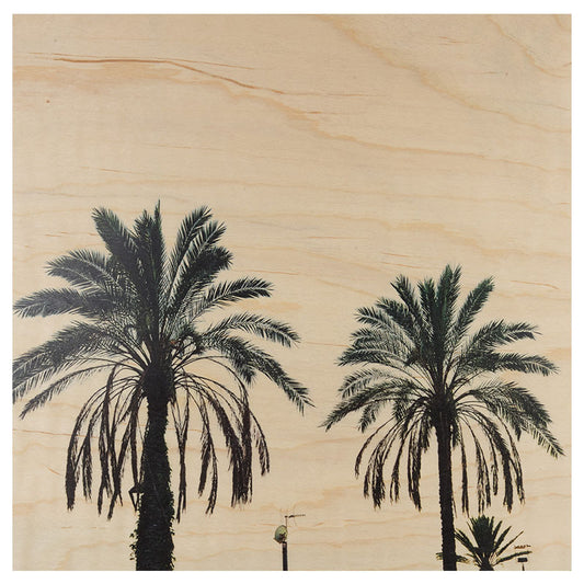 Poster 33T en bois photos palm W