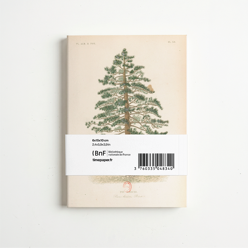 Panorama Arboretum — 6 illustrations à déplier ou à poser