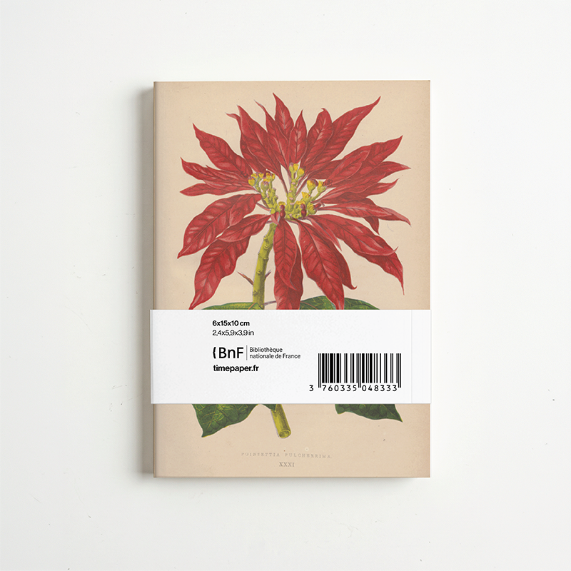Panorama Botanica — 6 illustrations à déplier ou à poser
