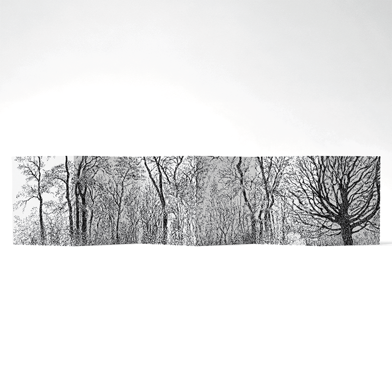 Panorama Sylva — 6 illustrations à déplier ou à poser
